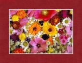 Blood tests image healthtips images